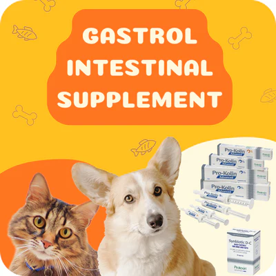 Pet Health Suggestions to become Don’t want to Doggie Blossoming
